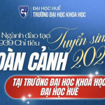 CHỈ TIÊU TUYỂN SINH VÀ TỔ HỢP XÉT TUYỂN ĐẠI HỌC NĂM 2026 THEO NGÀNH ĐÀO TẠO CỦA TRƯỜNG ĐẠI HỌC KHOA HỌC